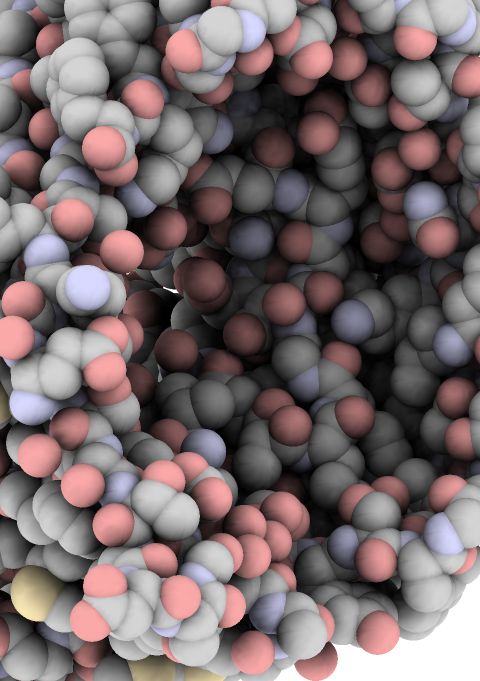 QutMol - real time ambient occlusion