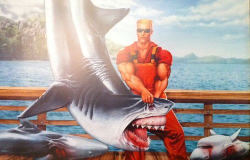 duke nukem forever trophy guide duke nukem forever trophy guide
