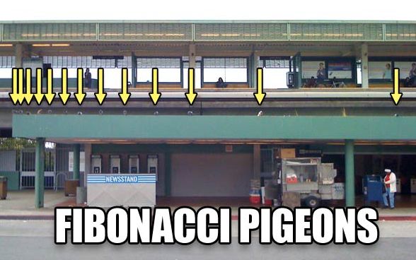 fibonacci pigeons