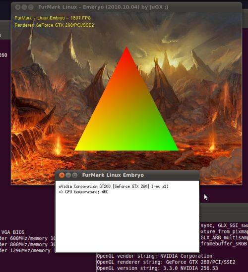 Linux Ubuntu and FurMark embryo