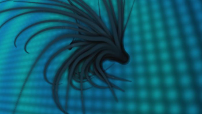 Demoscene, Wishful Seedling by Fnuque and Loonies