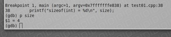 Linux programming, watch / print a variable in GDB