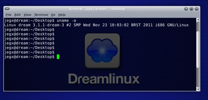 Dreamlinux, kernel information