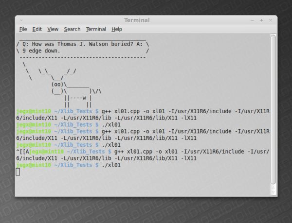 X Window X11 app demo under Linux