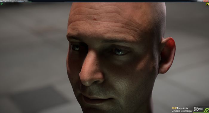 NVIDIA FaceWorks Demo