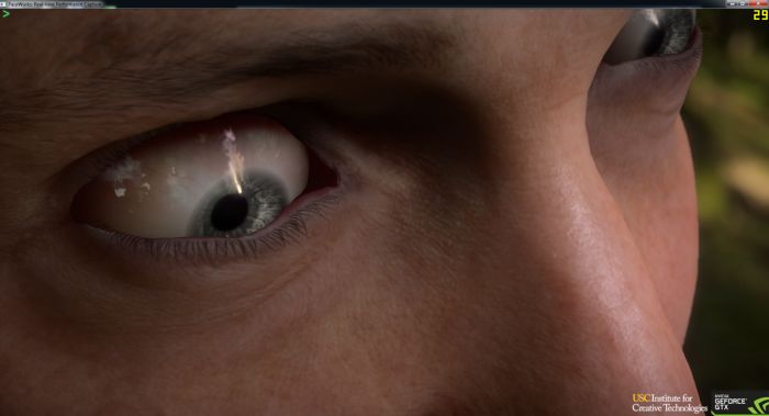 NVIDIA FaceWorks Demo