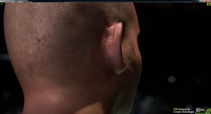 NVIDIA FaceWorks Demo