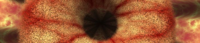 GpuTest, FurMark test
