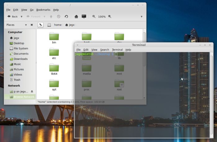 Linux Mint 15 - compositing enabled