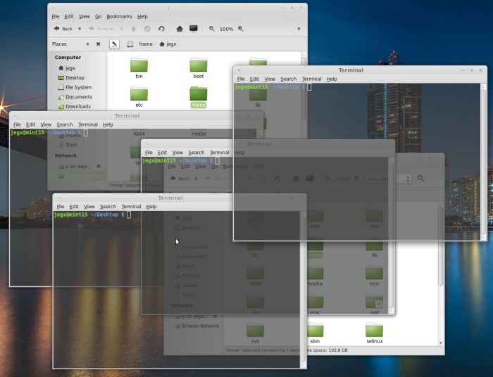 Linux Mint 15 - compositing enabled