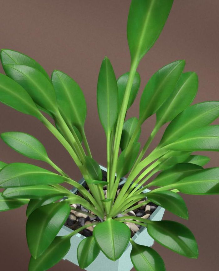 Separable Subsurface Scattering demo